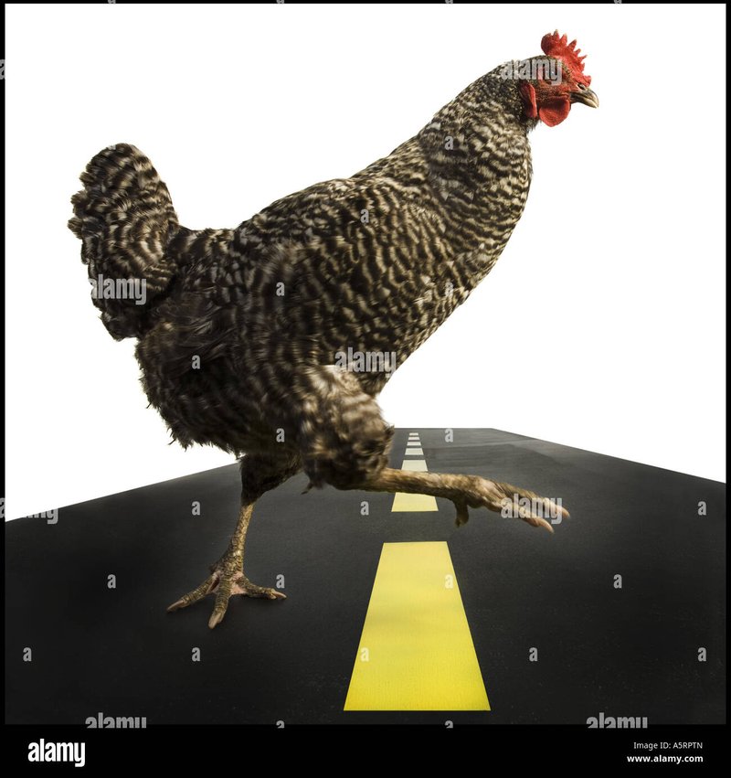Chicken road game in Spain