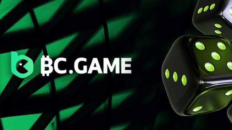 Essential Support for BC.Game Your Comprehensive Guide